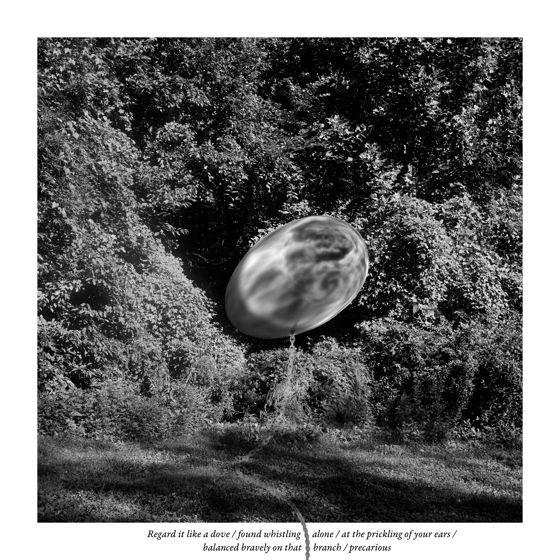 A Great Blimp Bound and Bouyant Emerges from the Shadows